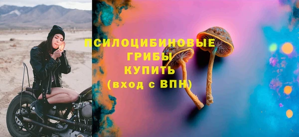 прущие грибы Вязники