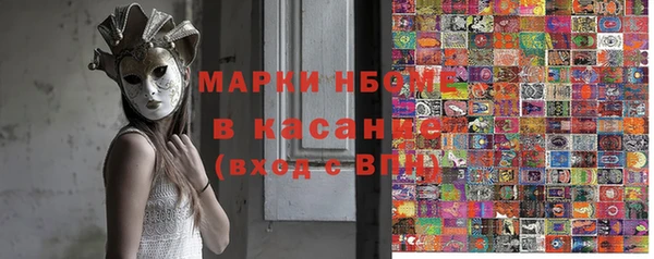 прущие грибы Вязники